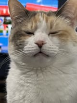 F6h3kEhWgAAHtkT