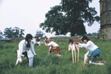 cricket_stones