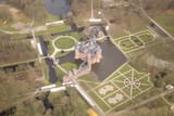 birds eye