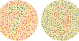 1729692595073620