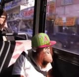 monke