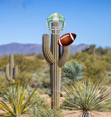 cactus johnson