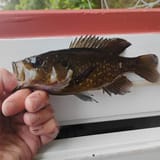 IMG_20250804_095738039