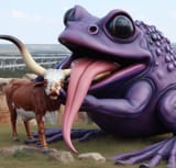 tcu hornissies