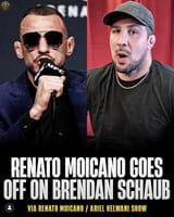 Schaub