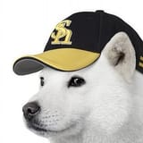 doggu