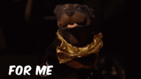 triumph-triumphinsultcomicdog