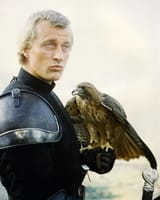 rutgerhauer