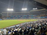 IMG_5482