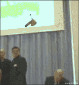 dildo drone