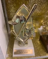 mlb award