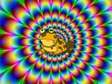 images (12)