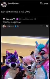 tcuOWO