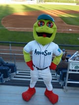 aquasox