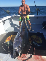 tito big fish