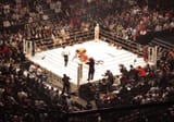 Fedor_vs_Coleman