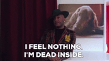 giphy-1059542942