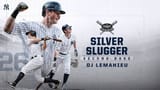 silver-slugger-dj-lemahieu-lbbupivsd306wyov