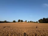 IMG_0022
