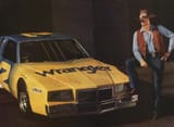 1981 wrangler-dale ad