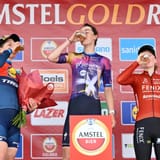amstel