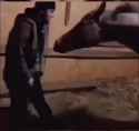 videoplayback (online-video-cutter.com)_thumb.jpg