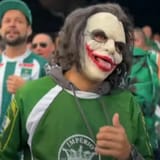 coringa coxa-branca
