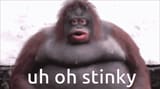 uh oh stinky