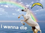 Chargerindie