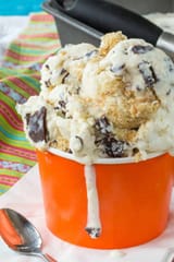 Brusters-Graham-Central-Station-Ice-Cream-Recipe-7502