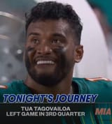 tua teef