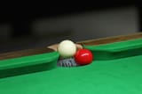 this kills the snooker