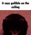 634_thumb.jpg