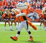 denver-broncos-mascot-miles-x1586482_tk1_092jpg