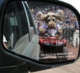Moose Mirror