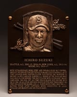Ichiplaque