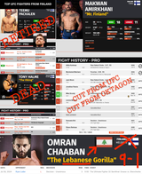 ALL of finland&#039;s mma fighters