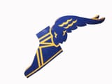 wingfoot