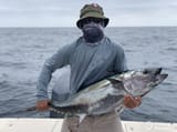 tuna