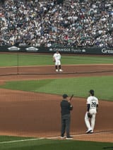 ump staked