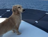 captain leo