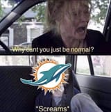 loud phins noises
