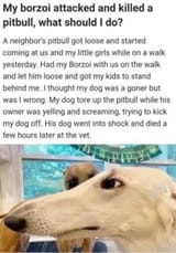 Stfu shitbulls