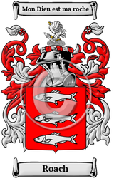 family-crest-coat-of-arms(1)