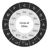 1629505477824