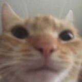 1622239959565