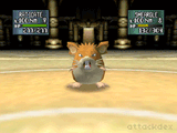 Raticate Confused