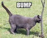 treebump
