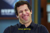 linux_gaming