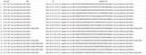 results example